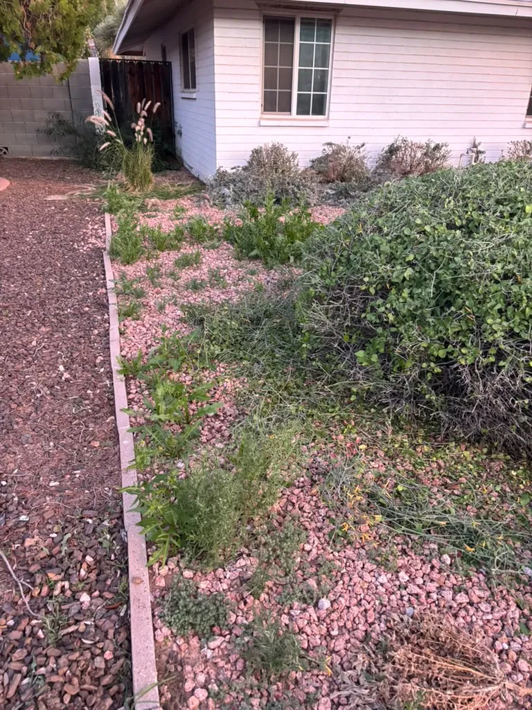 Desert landscape bed with decorative rock