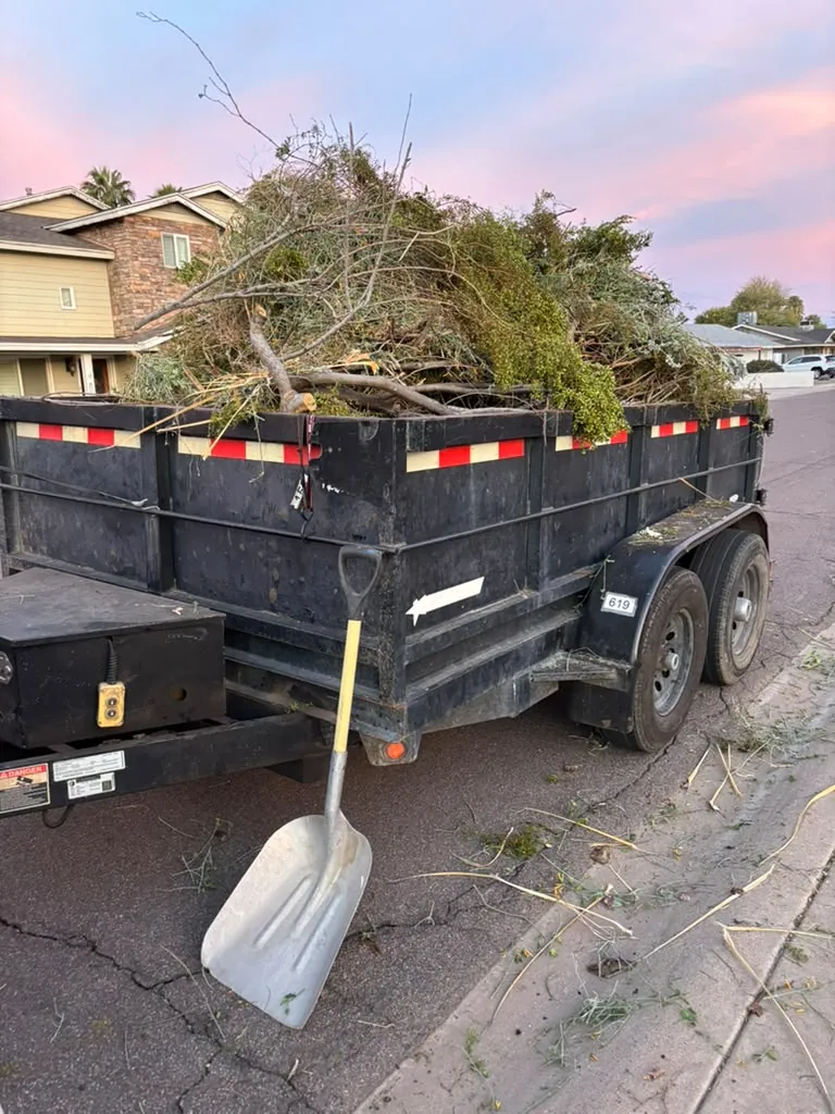 Trailer loaded during a yard cleanup