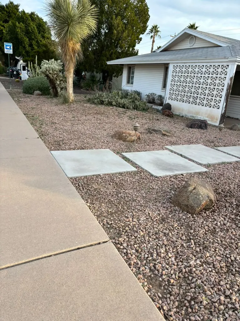 Xeriscape yard with stepping stones